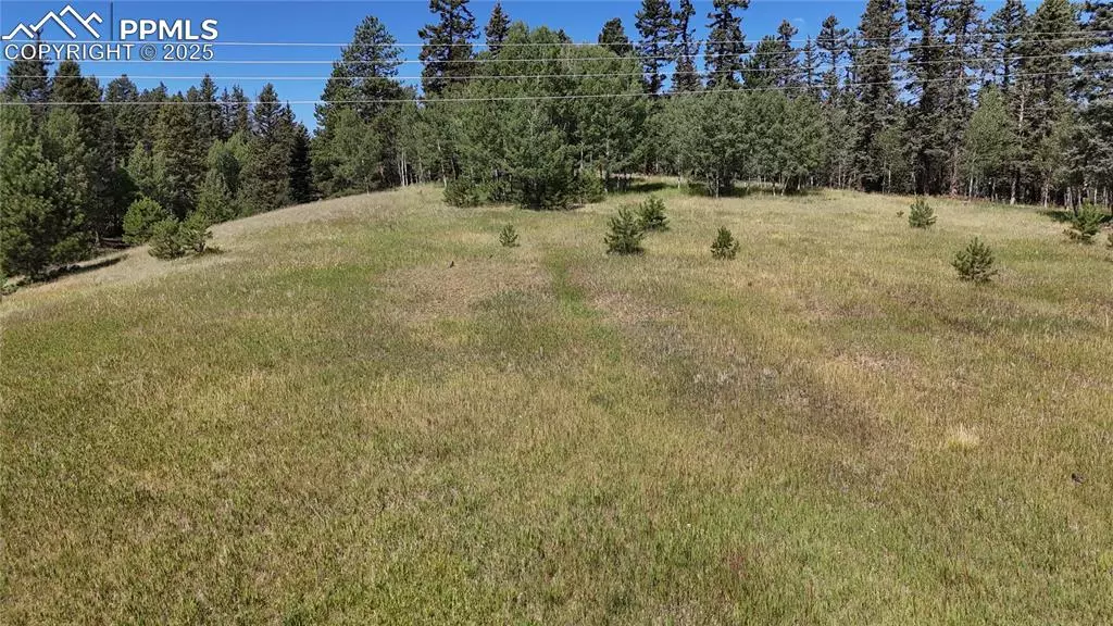 Divide, CO 80814,Spring Valley DR