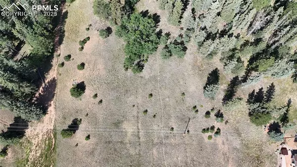 Divide, CO 80814,Spring Valley DR