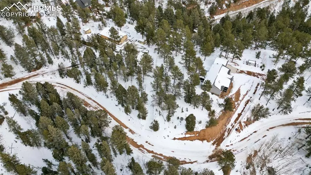 694 Horseshoe DR, Divide, CO 80814