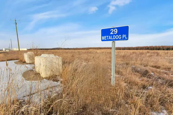 29 METALDOG PL, Rural Clearwater County, AB T4T 2A2