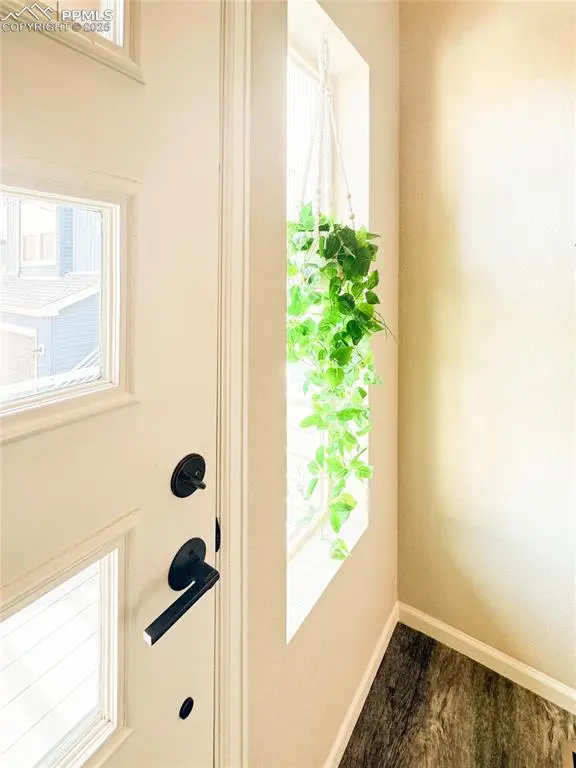 Colorado Springs, CO 80927,7038 Silvergrass DR