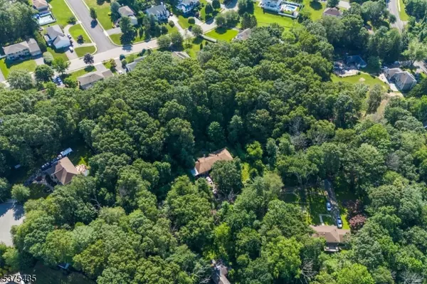 Rockaway Boro, NJ 07866,155 Mount Pleasant Ave