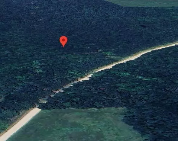 De Kalb, TX 75559,TBD Cr-4320