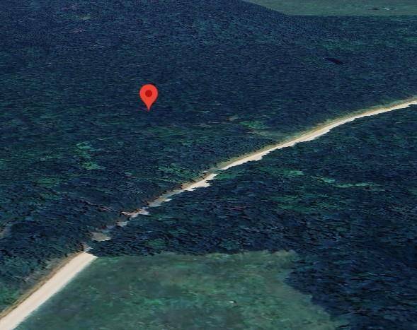 TBD Cr-4320, De Kalb, TX 75559