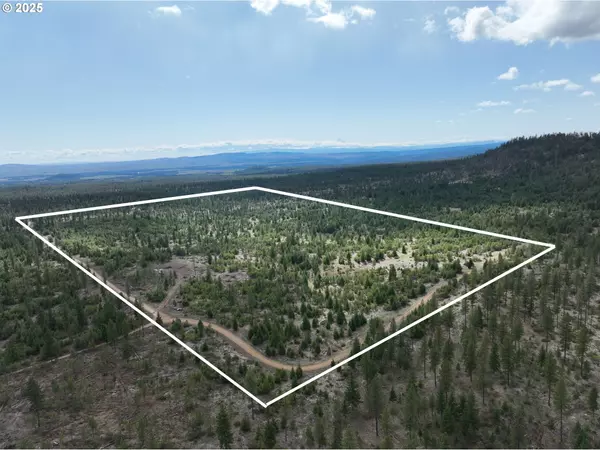 Goldendale, WA 98620,85 MULE RUN RD