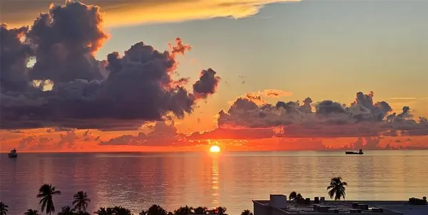 Fort Lauderdale, FL 33316,200 Birch #714