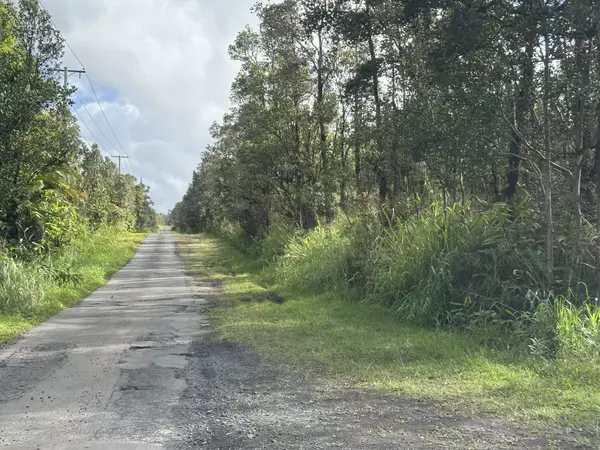 Mountain View, HI 96771,PALAINUI ST