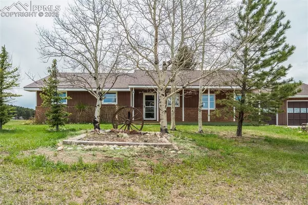 65 Yeoman LN, Divide, CO 80814