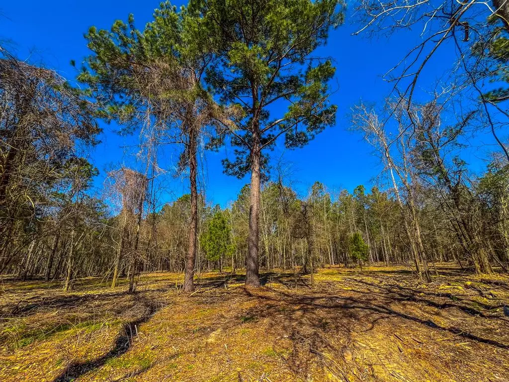 Jacksonville, TX 75766,Tract 4 County Road 1713