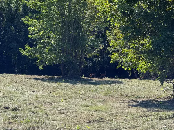 Metamora, MI 48455,2289 Equestrian Trail CT