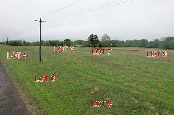 Winnsboro, TX 75494,TBD Lot 7 County Road 4286