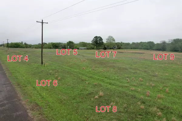 Winnsboro, TX 75494,TBD Lot 8 County Road 4287