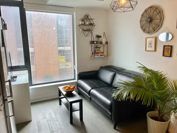 Ottawa Centre, ON K2P 1J5,203 CATHERINE ST #705