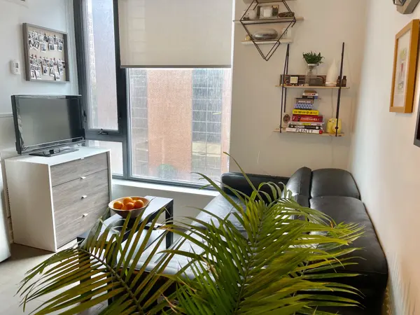 Ottawa Centre, ON K2P 1J5,203 CATHERINE ST #705