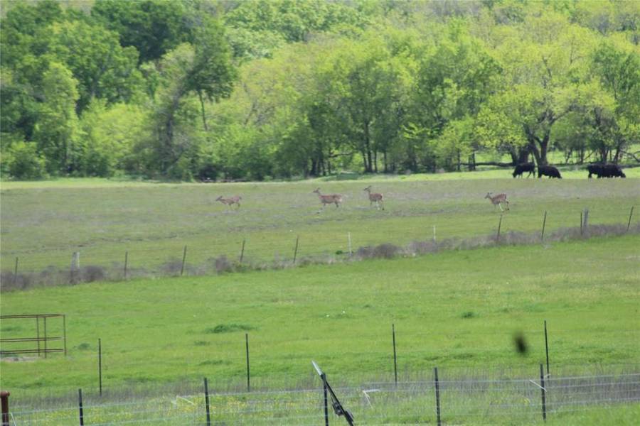 TBD County Road 4518, Wolfe City, TX 75496