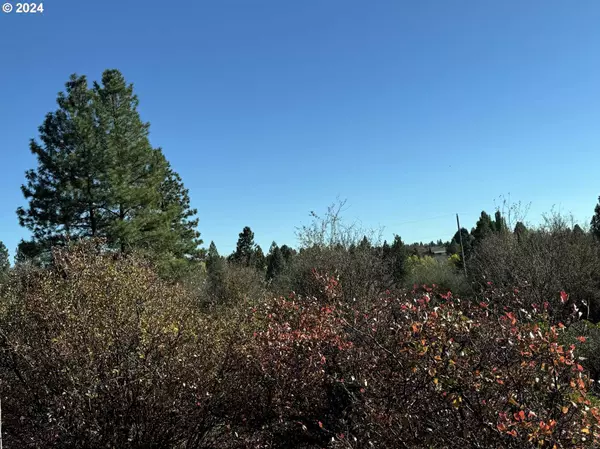 Chiloquin, OR 97624,E Lake AVE