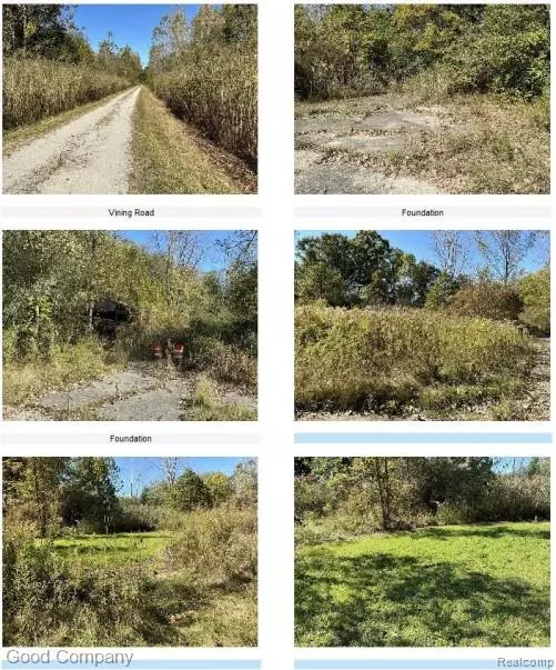 Romulus, MI 48174,16295 Vining RD