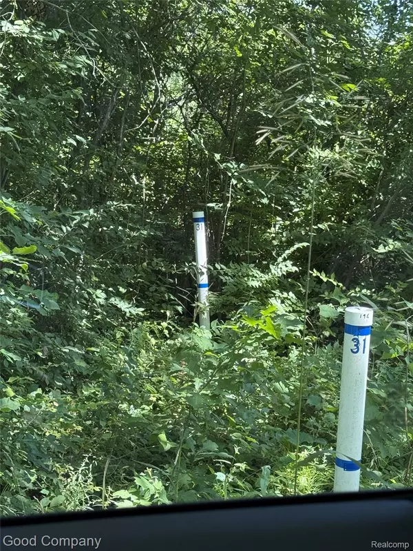 Romulus, MI 48174,16295 Vining RD