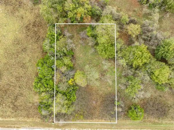 Whitney, TX 76692,40 LOTS White Bluff