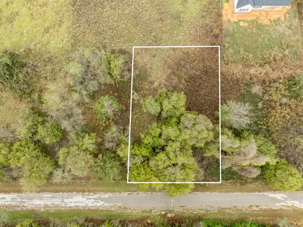 Whitney, TX 76692,40 LOTS White Bluff