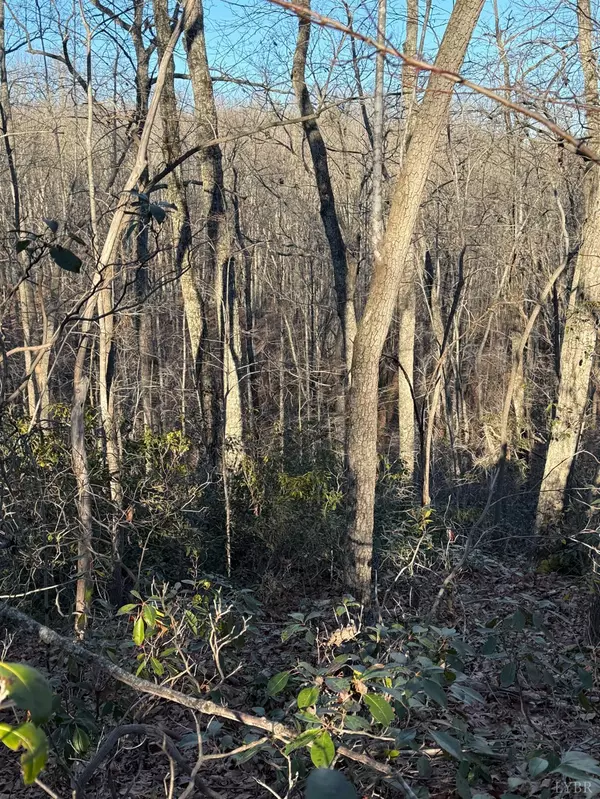 Madison Heights, VA 24572,0 wesley DR