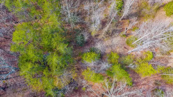 Rustburg, VA 24588,0 Thistle RD #Lot 44