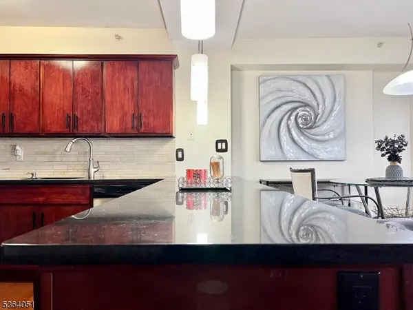 East Orange City, NJ 07017,60 Parkway Dr #14D