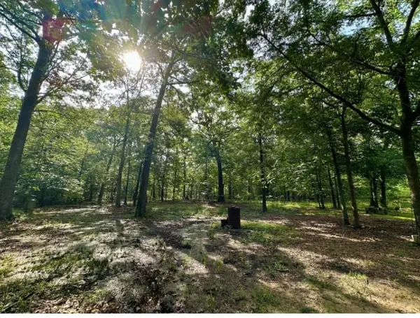 Powderly, TX 75473,2630 County Road 43270