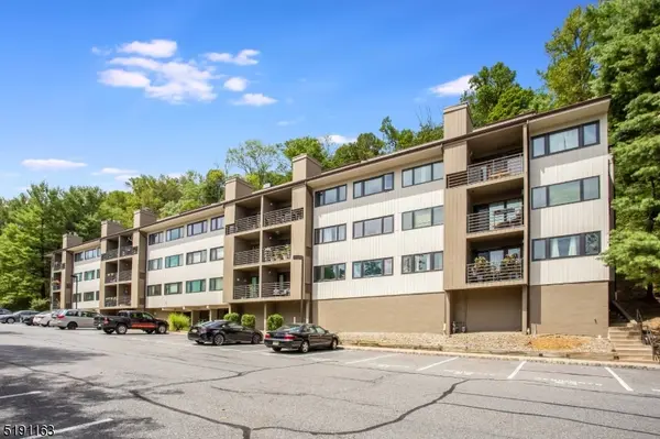 Morristown Town, NJ 07960,41 Mount Kemble Ave #208