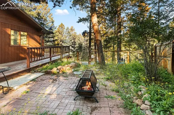 Woodland Park, CO 80863,1003 Kings Crown RD