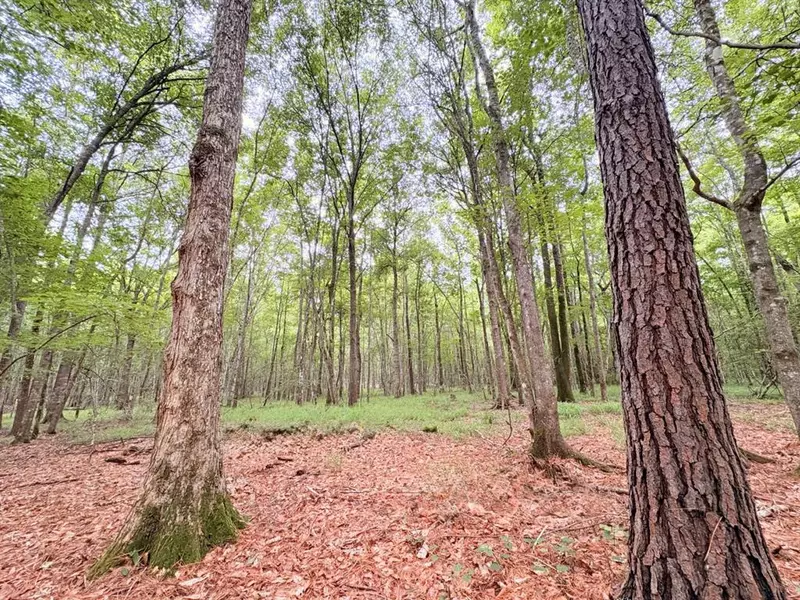 TBD Hwy 190, Jasper, TX 75951