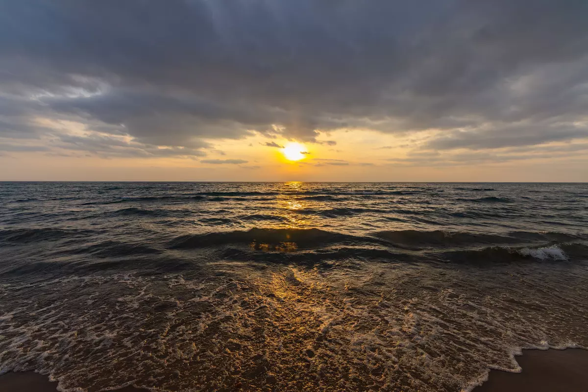 Tiny, ON L0L 2J0,20 Tiny Beaches RD N