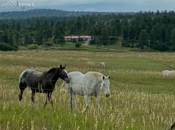 Rye, CO 81069,8201 Old San Isabel RD