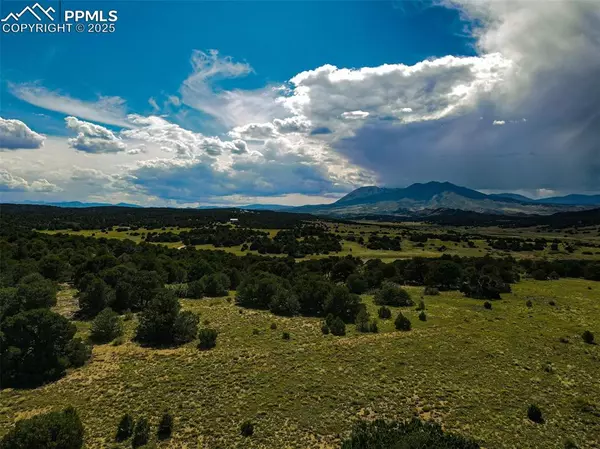 Walsenburg, CO 81089,363 Black Hills RD