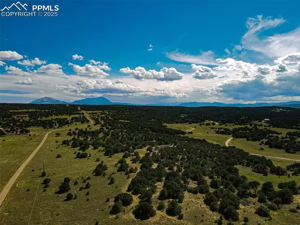 Walsenburg, CO 81089,363 Black Hills RD