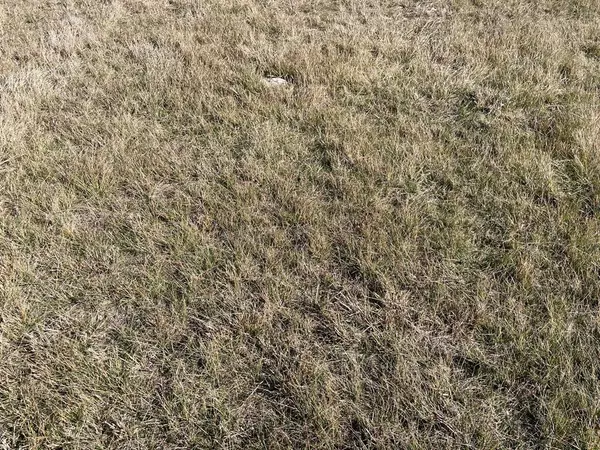 Valley Mills, TX 76689,TBD 3 Miller Rd