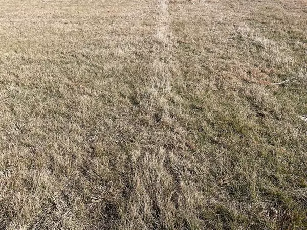 Valley Mills, TX 76689,TBD 3 Miller Rd