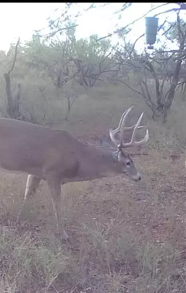 1400 Hammond Road, Quanah, TX 79252