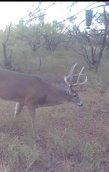 1400 Hammond Road, Quanah, TX 79252