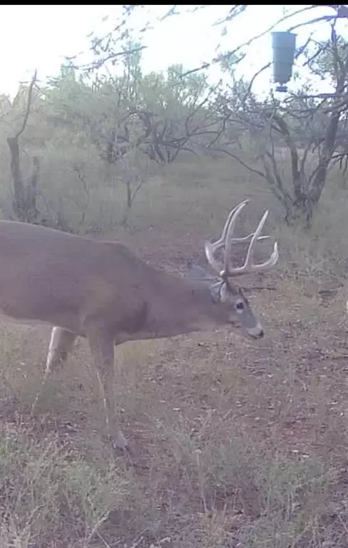 Quanah, TX 79252,1400 Hammond Road