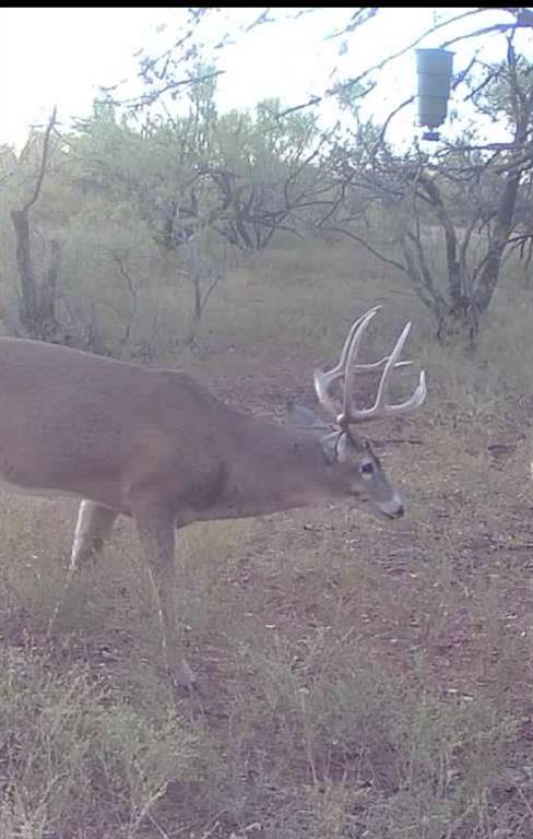 1400 Hammond Road, Quanah, TX 79252