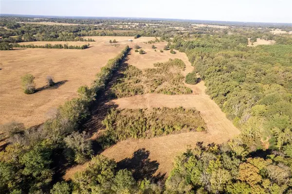 Mount Pleasant, TX 75455,TBD CR 4260