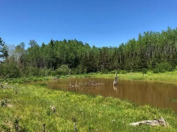 Timmins, ON P4N 7C2,38.24 Acres in Ogden Township - PCL 24640 N/A