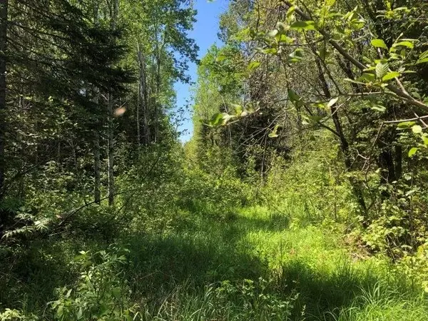 Timmins, ON P4N 7C2,38.24 Acres in Ogden Township - PCL 24640 N/A