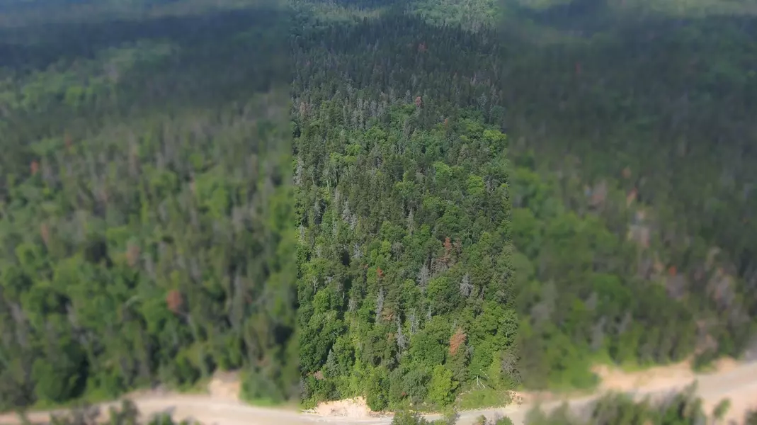 Lot 9 PLAN 6M499, North Munro Lake RD, Black River-matheson, ON P0K 1N0