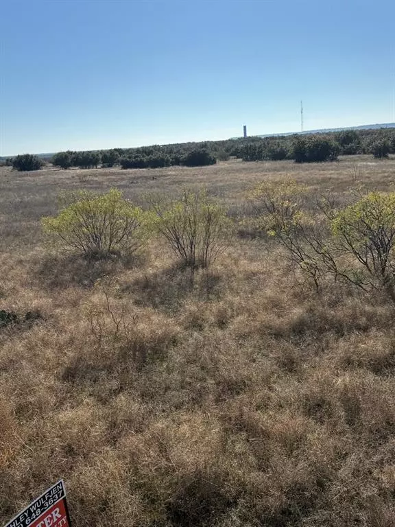 Graford, TX 76449,000 Mockingbird Lane