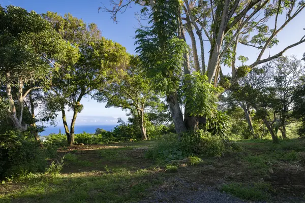 55-789 HAWI RD, Hawi, HI 96719