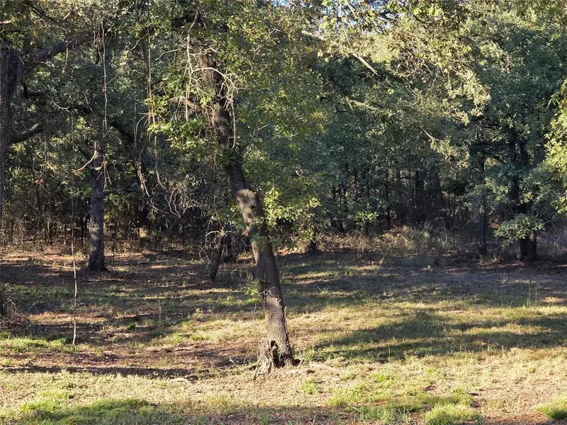 125 Comanche Trail, Nocona, TX 76255