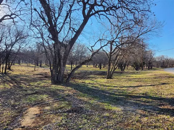 Nocona, TX 76255,5 Vista Court