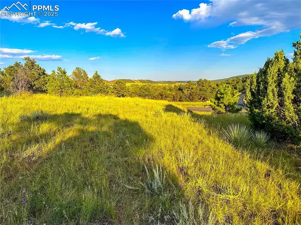 Colorado Springs, CO 80926,16116 Cala Rojo DR